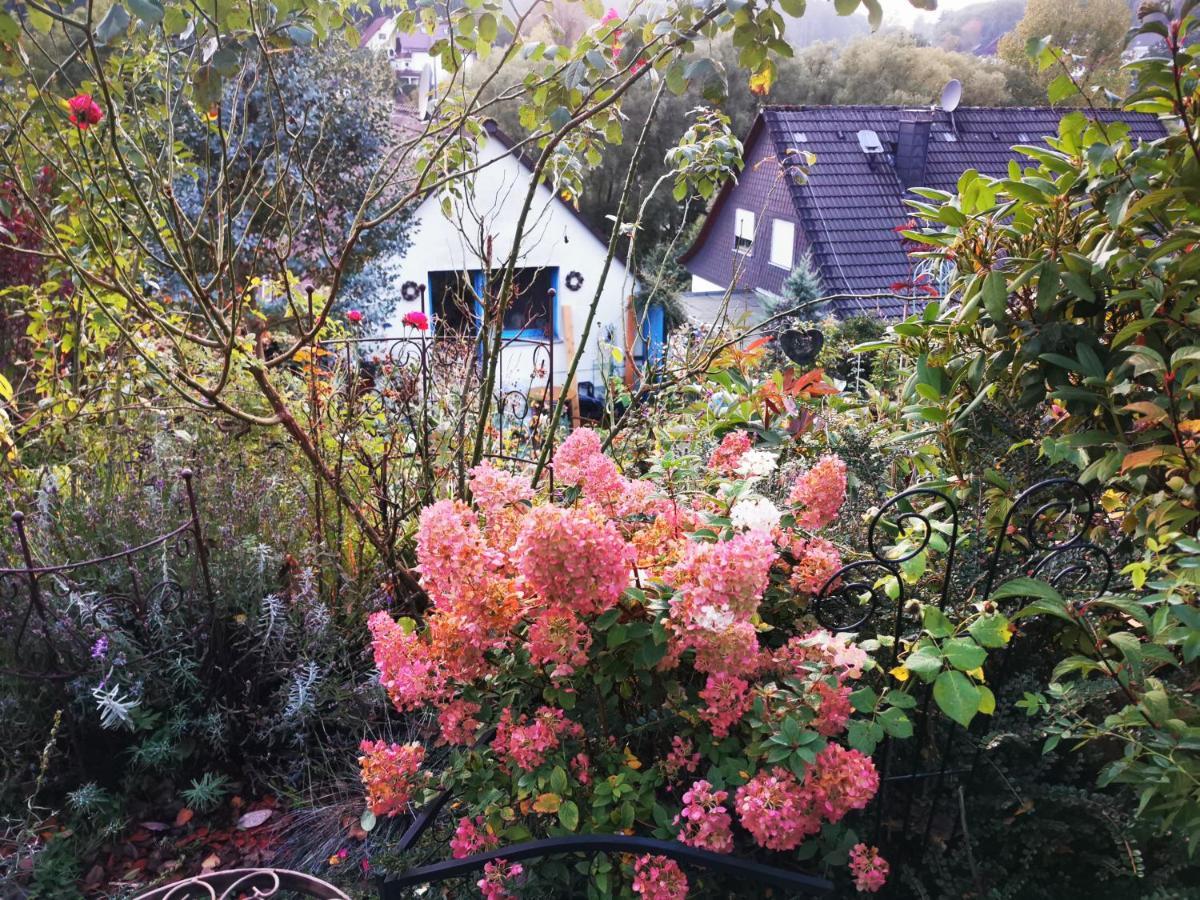 Ferienhaus mit riesen Garten, drei Terrassen, toller Aussicht am Waldrand, auch als Monteur-Wohnung Hemer Exterior foto
